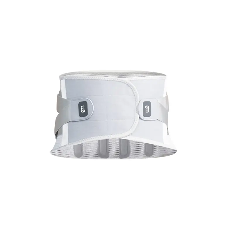 Bm Lumbar Back Support Brace – Black/Light Gray 1