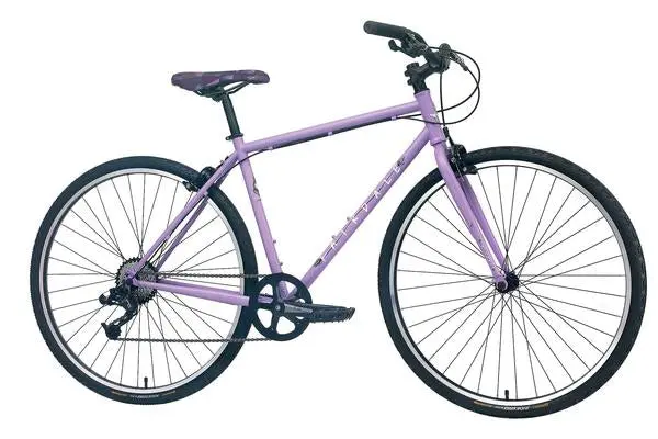 Fairdale X Nora Lookfar 2022 Collaborative Bmx Bike 1
