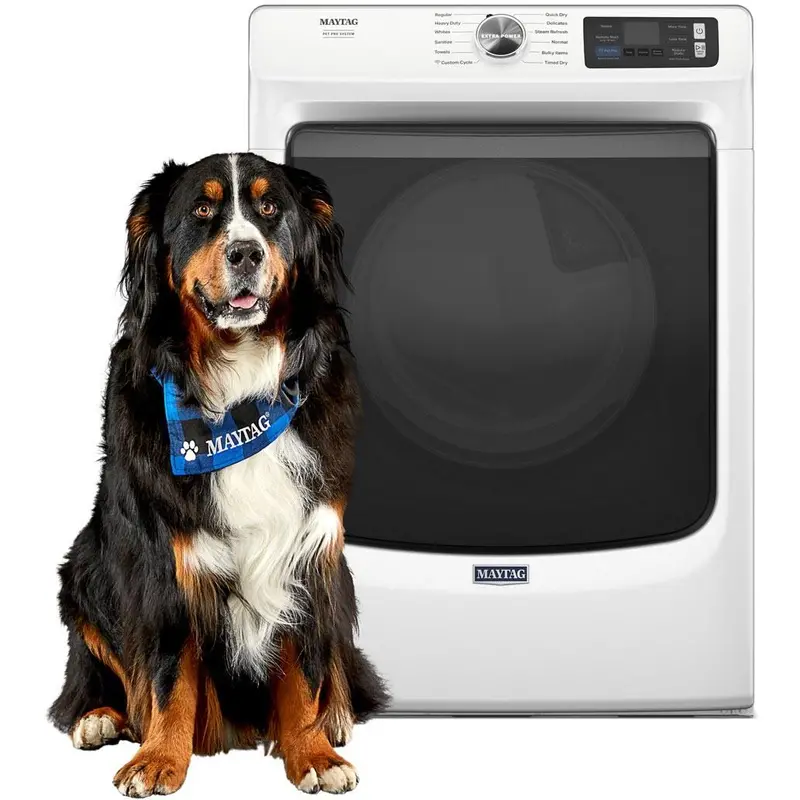 Maytag 7.4 Cu. Ft. Electric Dryer – Pet Pro Feature, White Ymed7020Rw 1