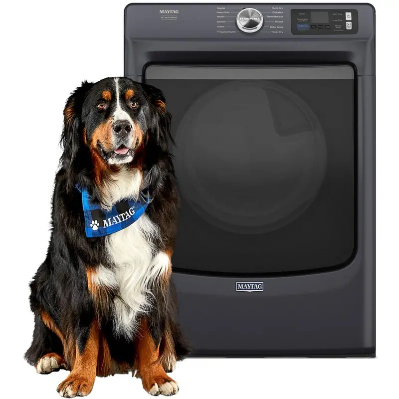 Maytag 7.4 Cu. Ft. Gas Dryer – Pet Pro Function, Black Stainless Mgd7020Rf 1