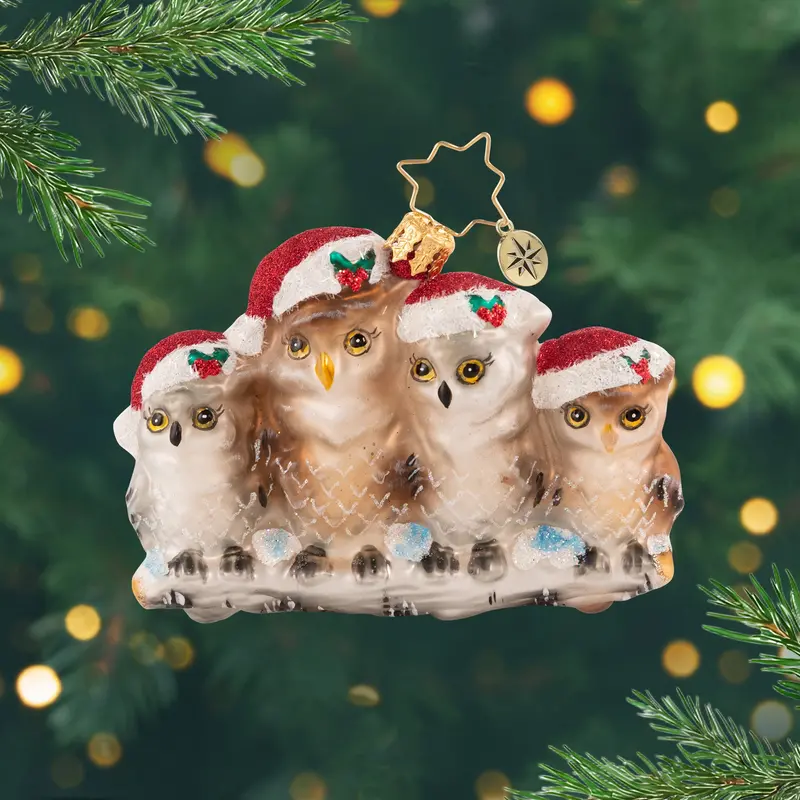 ‘Owl In The Family’ Whimsical Holiday Gem 1